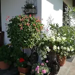 Appartement Haus Johanna *