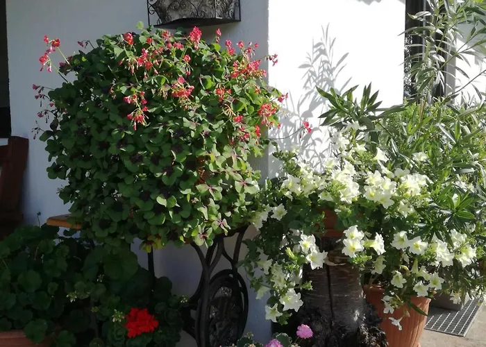 Апартаменты Haus Johanna *